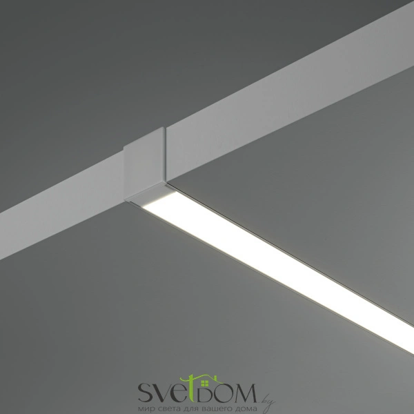 Алюминиевый профиль скрытого монтажа 53x13 ALM-5313B-S-2M