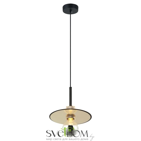 Подвесной светильник Lussole Butler LSP-8488 E27 Lussole