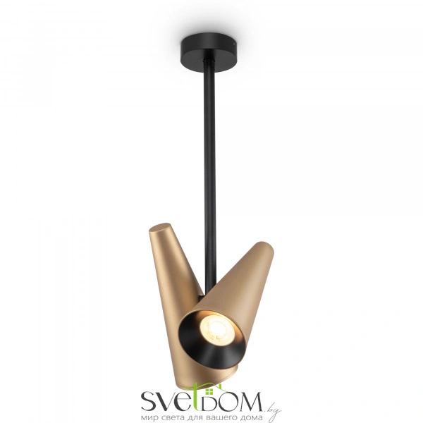 Потолочный светильник Maytoni MOD095CL-02BS