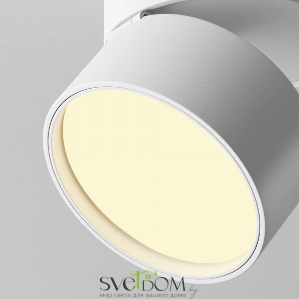 Потолочный светильник Technical C024CL-12W2.7K-W-1