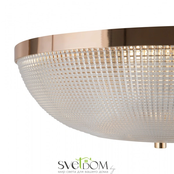 Потолочный светильник Maytoni C046CL-04G