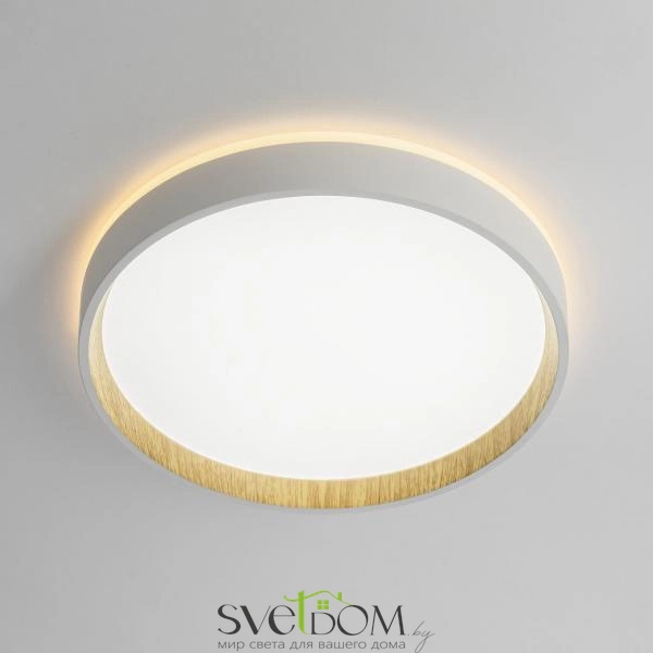 CITILUX CL750240 ETALON Белый+Бук с подсветкой