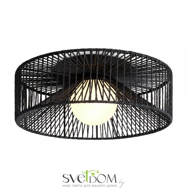 Потолочный светильник Freya FR5405CL-01B