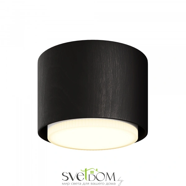 Потолочный светильник NUVOLT LDL-007BW