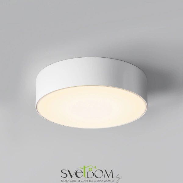 Потолочный светильник Outdoor O431CL-L30W4K