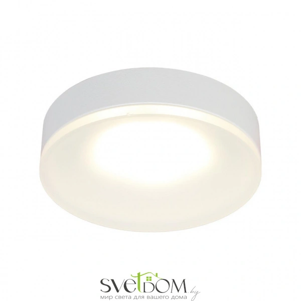 Накладные светильники Omnilux OML-102909-01 от Магазина Svetdom.by