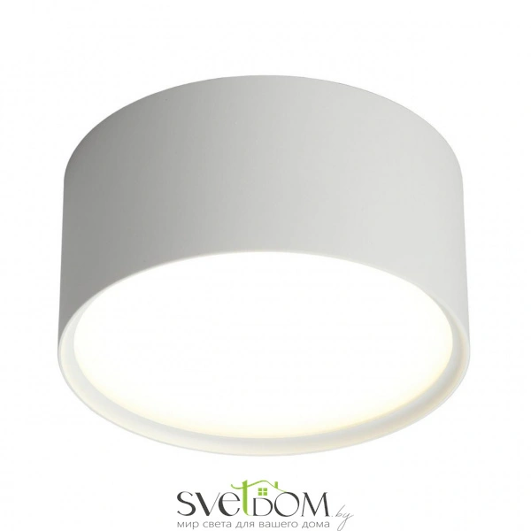 Накладные светильники Omnilux OML-100909-12 от Магазина Svetdom.by