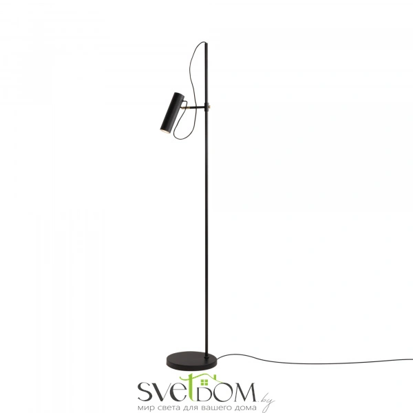 Напольный светильник (торшер) Maytoni MOD129FL-01B