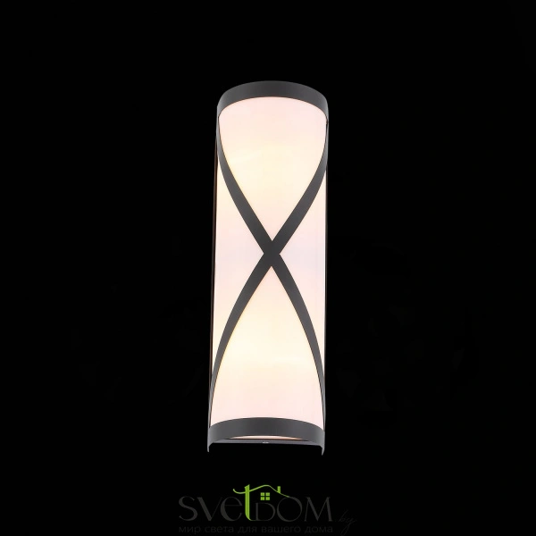 SL076.411.01 Светильник уличный настенный ST-Luce Черный/Белый E27 2*60W AGIO