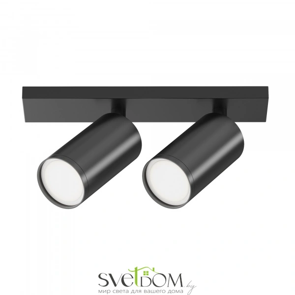 Потолочный светильник Technical C051CL-U-2B