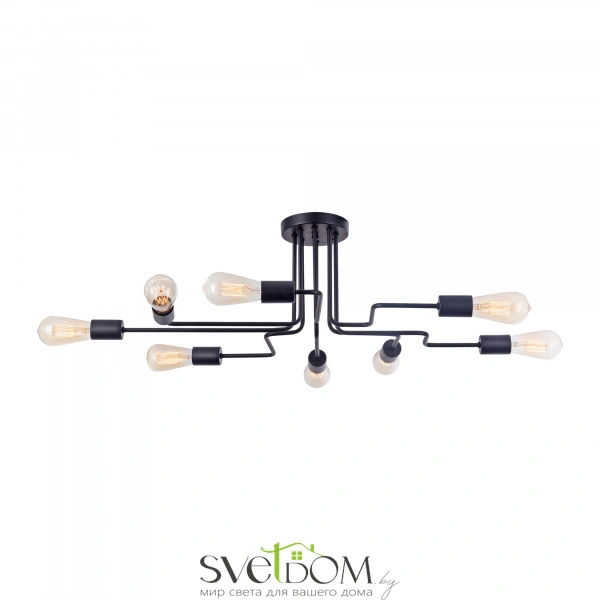 Потолочный светильник Maytoni T532CL-08B