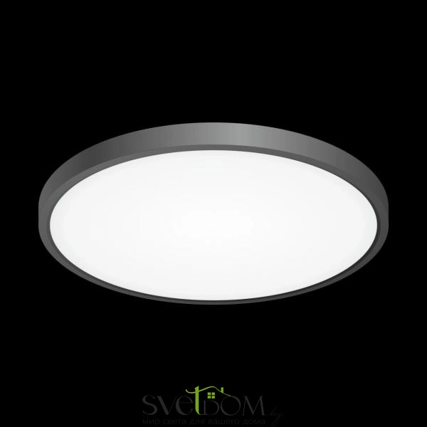 Citilux Бейсик CL738321V Светильник накладной Чёрный