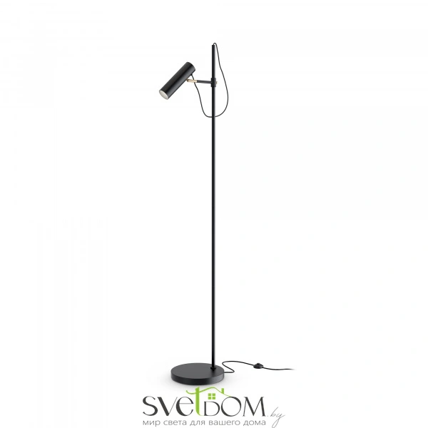 Напольный светильник (торшер) Maytoni MOD129FL-01B