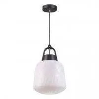 370601 STREET NT19 383 белый абажур/черная арматура  Ландшафтный подвес IP44 E27 60W 100-240V CONTE