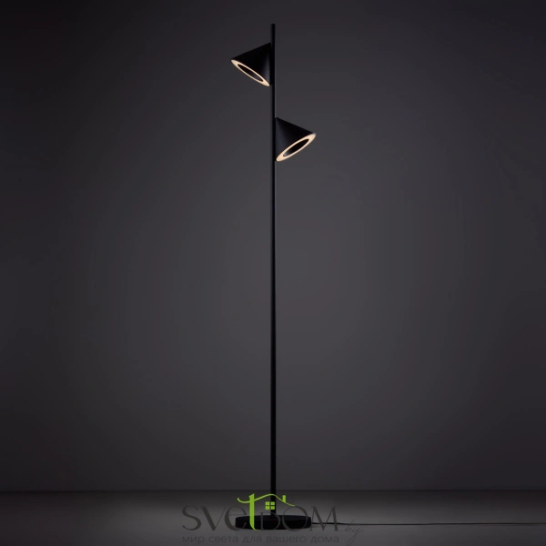 Напольный светильник (торшер) Freya FR6141FL-L14B