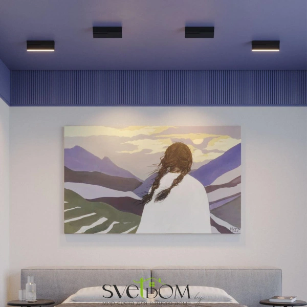 359766 OVER NT25 398 черный Светильник накладной с перекл. цв. температуры IP20 LED 12W 180-265V 2700К/3200К/4000К EOS