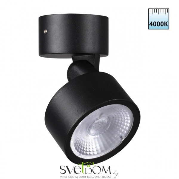 359589 STREET NT25 000 черный Светильник ландшафтный светодиодный IP65 LED 12W 4000К 100-240V FOCUS