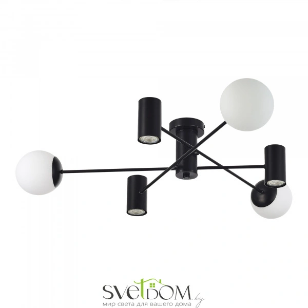SLE1105-402-06 Светильник потолочный Черный/Белый GU10+E27 3+3*5+60W RAITO