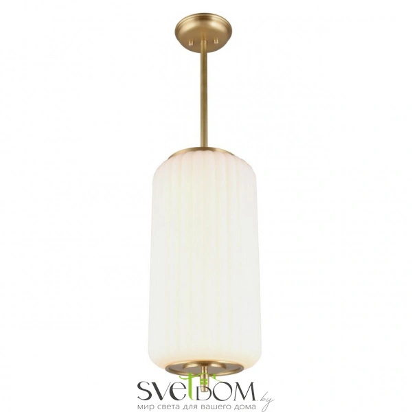 Подвесные светильники Aployt APL.807.06.06 от Магазина Svetdom.by
