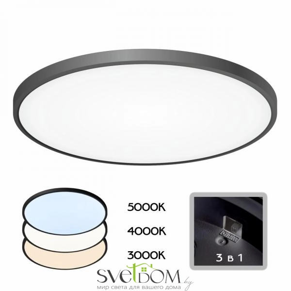 Citilux Бейсик CL738501V Светильник накладной Чёрный