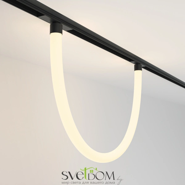 Трековый подвесной светильник TR101-2-20W3K-B