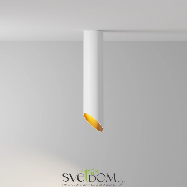 Потолочные светильники Maytoni C044CL-01-30GU10-W от Магазина Svetdom.by