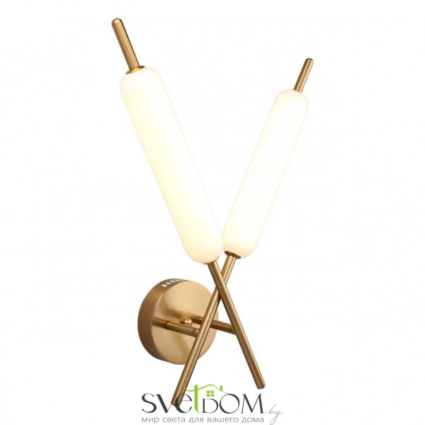 Настенные светильники APL.010.01.16 Aployt | Svetdom.by