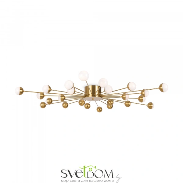 Потолочный светильник Freya FR5242CL-24BS