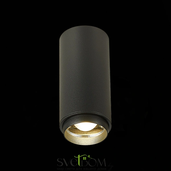 ST600.442.10 Светильник потолочный Zoom Черный LED 1*10W 4000K 1 000Lm Ra>80 15-60° IP20 D59xH130 17 Накладные светильники