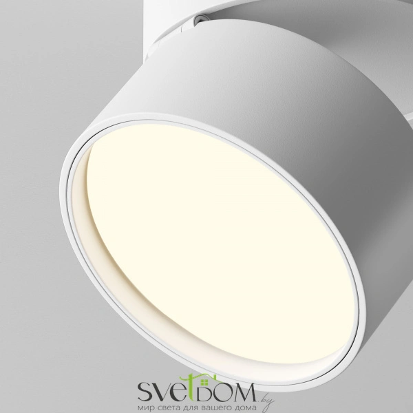 Потолочный светильник Technical C024CL-12W3K-W-1