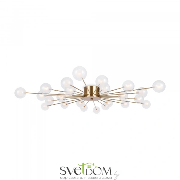 Потолочный светильник Freya FR5242CL-24BS1