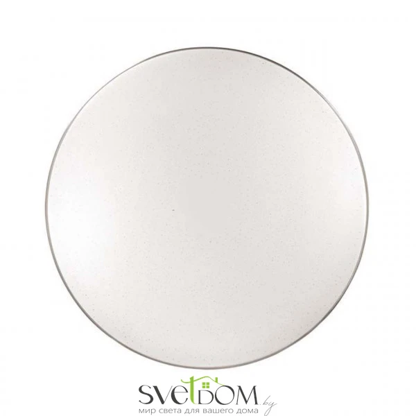 Настенно-потолочные светильники  2051/DLN от Магазина Svetdom.by
