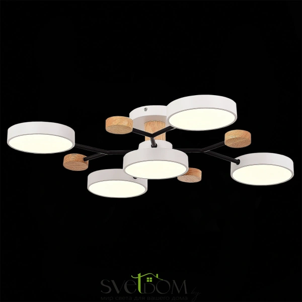 SLE6006-502-05 Светильник потолочный Белый/Белый LED 5*12W 3000K/4500K/6000K FAEMA