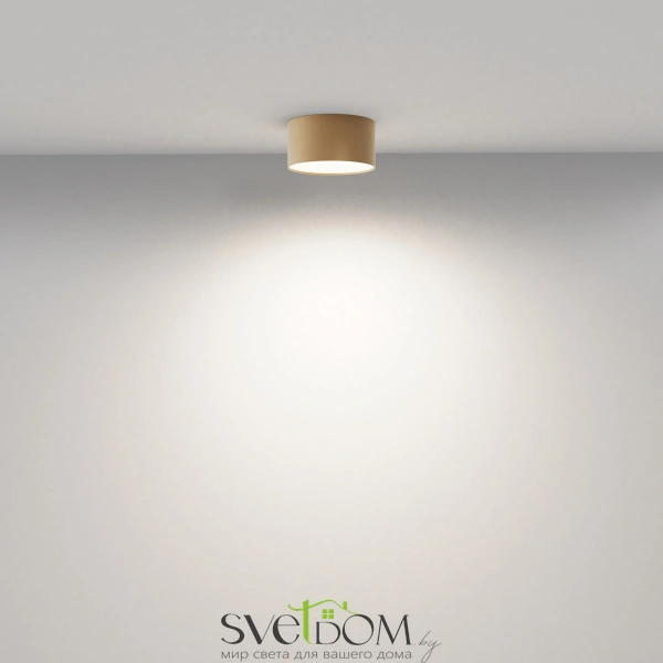 Потолочный светильник Technical C032CL-12W4K-RD-MG