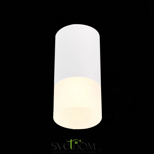 ST100.512.01 Светильник потолочный Белый GU10 1*50W IP20 D64xH131 220V Без ламп Накладные светильники