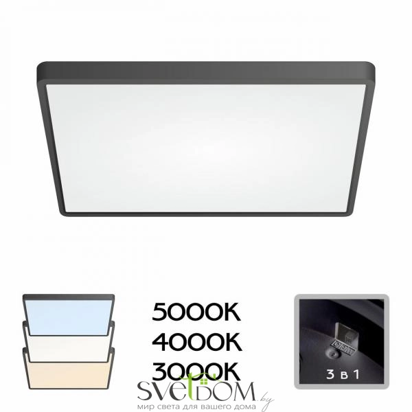 Citilux Бейсик CL738K501V Светильник накладной Чёрный