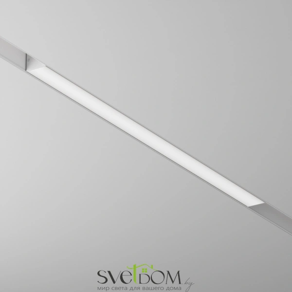 Трековый светильник TR074-2-20W4K-W