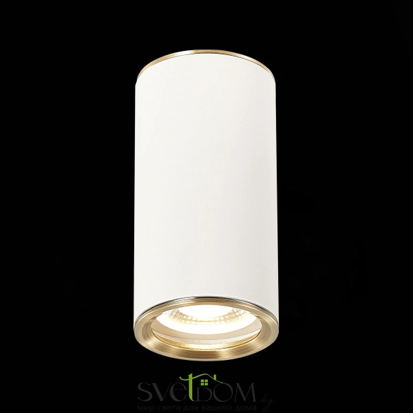 ST111.537.01 Светильник потолочный Белый GU10 1*50W D54xH105 220V Без ламп Накладные светильники