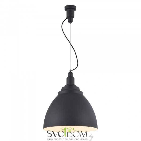 Подвесной светильник Maytoni P535PL-01B