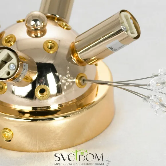 Люстра потолочная Lussole Davie LSP-8781 G9 Lussole