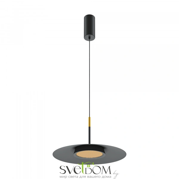 Подвесной светильник Maytoni MOD041PL-L15B3K1