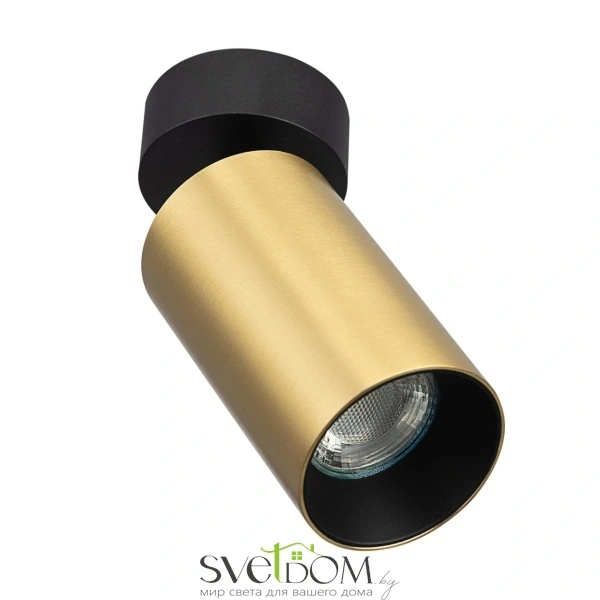 CITILUX CL512212 AXEL Латунь Св-к Спот Накладной