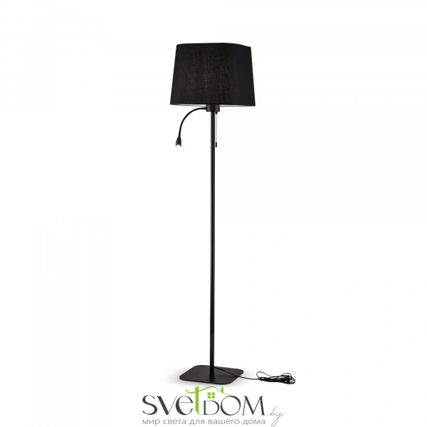 Напольный светильник (торшер) Maytoni Z001FL-L3W-1B