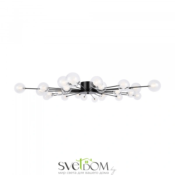 Потолочный светильник Freya FR5242CL-24B1