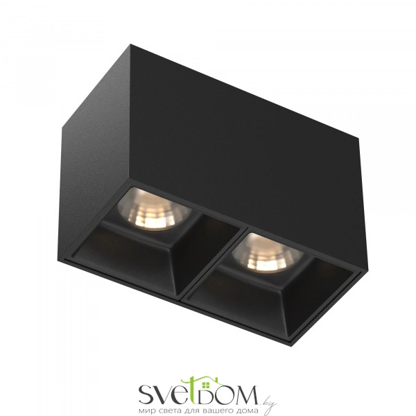 Потолочный светильник Technical C065CL-02-L12W3K-B