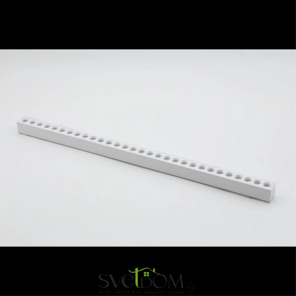 Светильник трековый Aployt  APL.0100.11.30