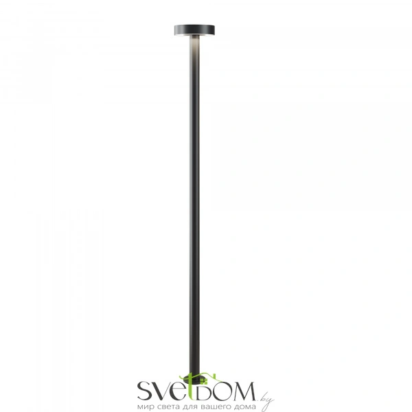 Садово-парковый светильник Nail 3000K 30Вт IP 65