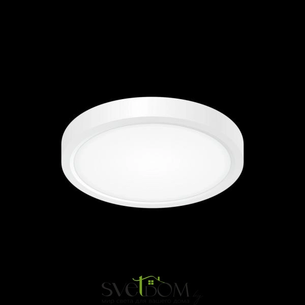 Citilux Бейсик CL738120N Светильник накладной Белый