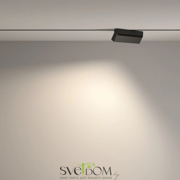 TR077-2-20W4K-B Maytoni