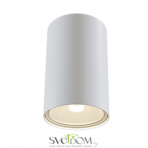 Потолочный светильник Technical C033WL-01W